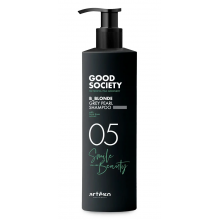 Шампунь відтінковий Artego 05 B-Blonde Grey Pearl Shampoo з попелясто-сірою пігментацією 1000 мл